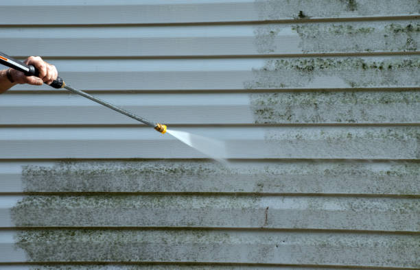 Best Mold Remediation  in Woodhaven, MI