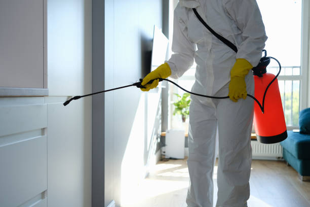Woodhaven, MI Mold Removal Company